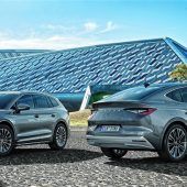 Škoda auf Erfolgskurs