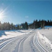 Spitzensport und Schlittengaudi im Chiemgau