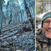 Stille Gefahr im Wald