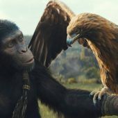 Ein Kinojahr der Superlative