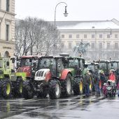 Bauern-Protest im Herzen der Stadt