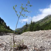 Anklage gegen Alpgenossen