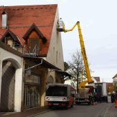 Das Taubenkot-Dilemma