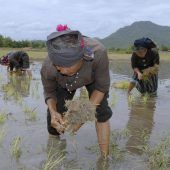 Warum finanzieren wir Radwege in Lima?