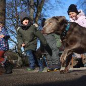Pädagoge auf vier Pfoten