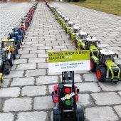 Kleine Bulldogs mit großer Botschaft