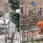 Unfallgefahr auf der Fahrradstraße
