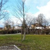 Baumbestattungsfeld in Pfaffenhofen fertiggestellt