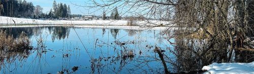 Der Biber sorgt für Probleme: Der hohe Wasserstand rund um den Mühlbach in Halfing hat ein Feld überflutet. Foto RE