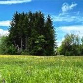Die Natur im Fokus