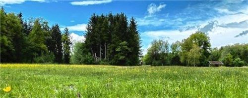 Die Filze rund um Stephanskirchen – wie hier das Westendorfer Filz – sind nicht nur wertvolle Naturräume, sie prägen auch durchaus das Gemeindebild.