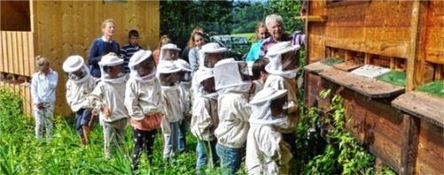 Die Samerberger Imker betreiben einen Lehrbienenstand in den Filzen. Die dortige PV-Anlage wird erweitert. Jetzt gibt es einen Zuschuss der Gemeinde.Foto hötzelsperger