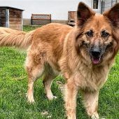 Juli ist eine zauberhafte Gefährtin