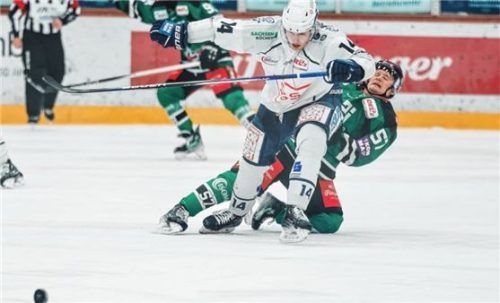 Unsanfte Landung für Marvin Feigl und die Starbulls beim Heimspiel gegen Dresden. Foto Christian Mühlhofer