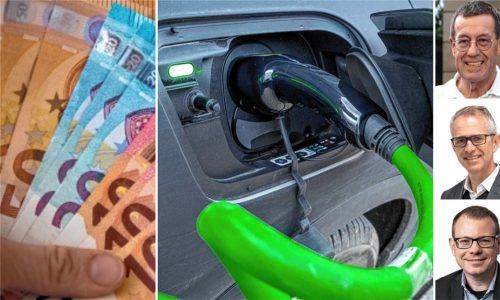 Von 4500 Euro auf null: Das Ende des Umweltbonus spüren auch die E-Autohändler in der Region. Willi Bonke (rechts, von oben), Roland Mainzl und Josef Bader rechnen mit einem starken Umsatzrückgang. Foto dpa/Büttner/Skolimowska/Re