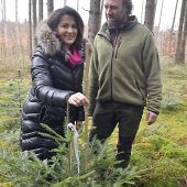 Förster untersuchen Wildverbiss