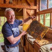 Schluss mit dem Honig-Schummel