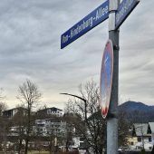 Die Allee des Anstoßes