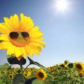 So machen wir uns selber glücklich