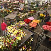 Ein Angebot für alle Pächter