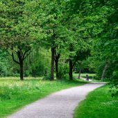 Horror-Droge im Herzogpark