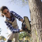Neue Regeln fürs Fällen von Bäumen