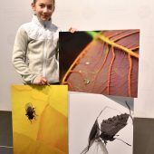 Die Jagd nach dem perfekten Schnappschuss