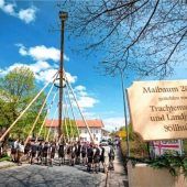 Fast 30 Meter langer Maibaum