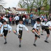 Maibaum und Jubiläum