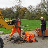 Schön und nachhaltig