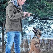 Hund verletzt Ersthelfer nach Unfall