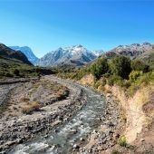 Auf den Spuren der Schneegesellschaft