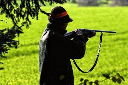 Das Problem mit dem Wild: Schon seit Jahren wünschen sich die angegliederten Jäger und Waldbauern eine höhere Abschussquote von der Firma Henkel. Foto dpa