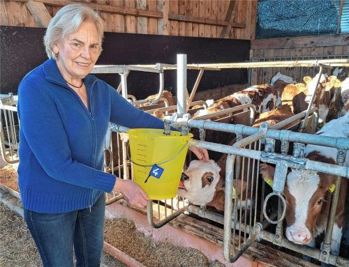 Der tägliche Kontakt mit den Tieren im Stall ist Ehrenlandesbäuerin Annemarie Biechl wichtig.Foto Hadersbeck