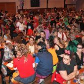 Quallen, Fische und Pharaonen