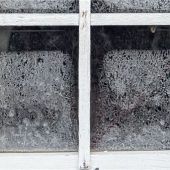 So vermeidet man Frostschäden