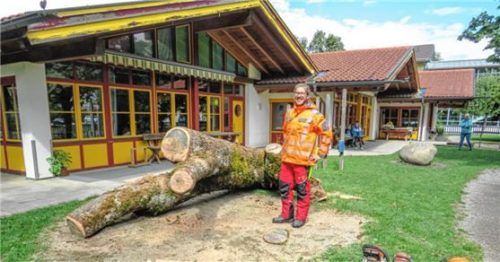 Die Kinder des Kindergartens haben nicht nur „normale“ neue Spielgeräte bekommen, sondern auch natürliche, wie diesen Baumstamm, den Andreas Obermair vom Bauhof hergerichtet hat.