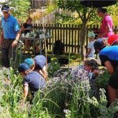 Spielerisch die Natur entdecken