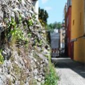 Historische Stadtmauer saniert