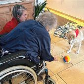 Fritzi schenkt Palliativ-Patienten Kraft
