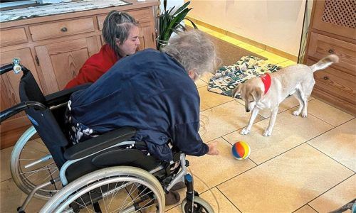 Durch das gemeinsame Ballspiel mit Fritzi kann Gertraud ihre Motorik fördern. Foto Huber