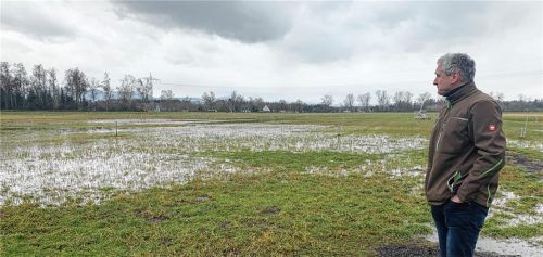 Ewald Sticksel blickt auf mehrere Hektar Moorfläche zwischen Kolbermoor und Großkarolinenfeld. Dort wird derzeit Rohrglanzgras angebaut. Fotos Posch