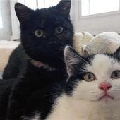 Ein warmes Bettchen für die Geschwister Feli und Fritzi