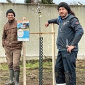 Pflanzaktion in Holz