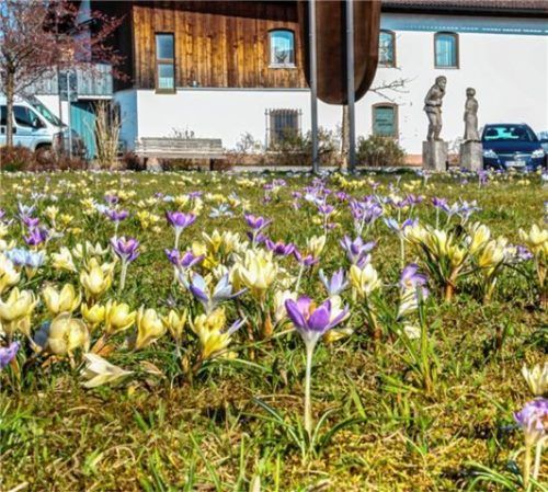 Gemeindefinanzen und Entwicklung sprießen wie die Krokusse.