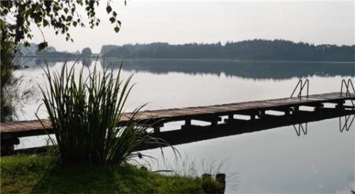 Intensiv wird in Höslwang daran gearbeitet, die Nährstoffeinträge in den Pelhamer See zu reduzieren.