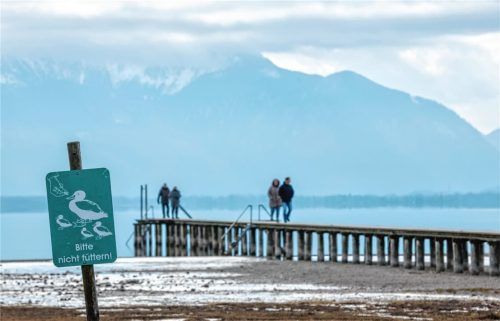 Pro Jahr lockt der Chiemsee etwa 2,5 Millionen Besucher an. Ein Gebietsbetreuer soll in diesem Bereich auch künftig darüber wachen, dass die Nutzung der Natur zu Freizeitzwecken und ihr Schutz in Einklang stehen.Foto dpa