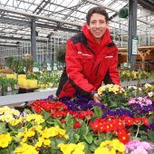 So bringen Sie den Frühling nach Hause