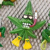 Jetzt droht das Cannabis-Chaos