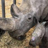 Babyglück im Zoo Augsburg